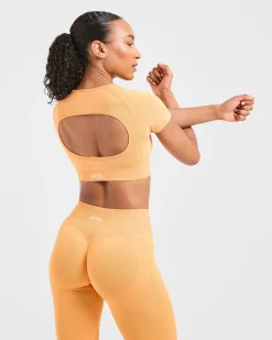 Adapt Seamless Crop Top
