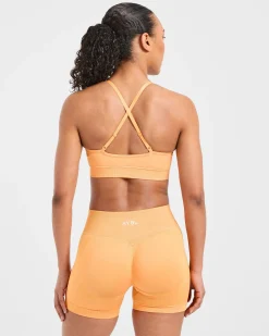 Adapt Seamless Sports Bra