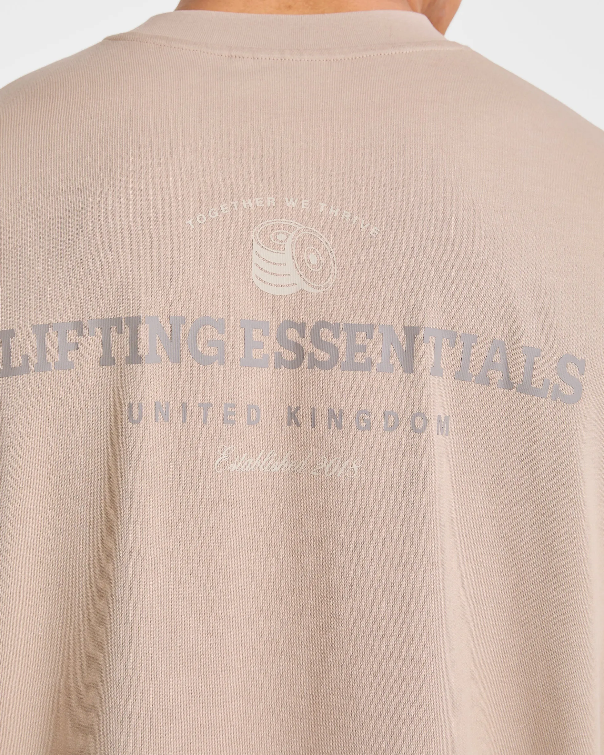 Apex Lifting Essentials Oversized T Shirt